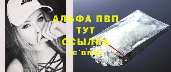 гашик Пересвет