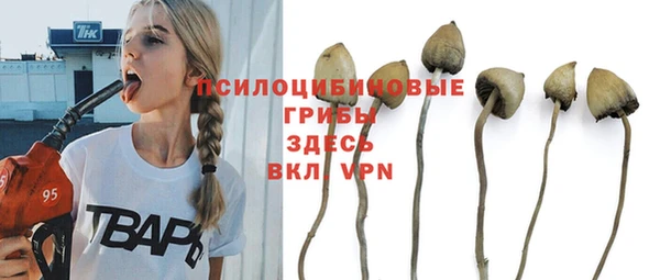 a pvp Абаза