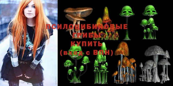 a pvp Абаза