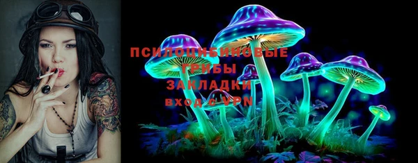 гашик Абинск