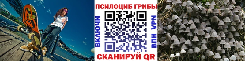 гидра ссылки  Карталы  Псилоцибиновые грибы GOLDEN TEACHER  купить закладку 